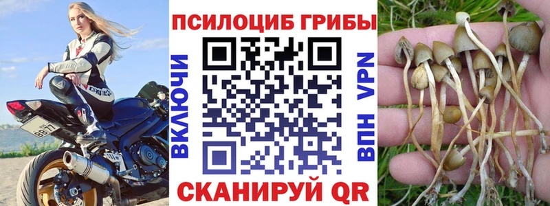 Галлюциногенные грибы GOLDEN TEACHER  Краснодар 